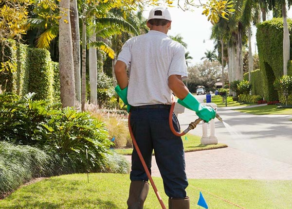 About Livonia NY Pest Control